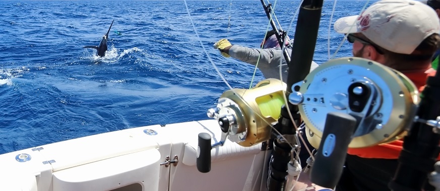 Deep sea Fishing Charters in Cartagena